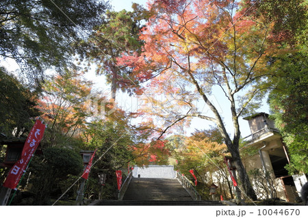 嵐山　法輪寺参道 10044670