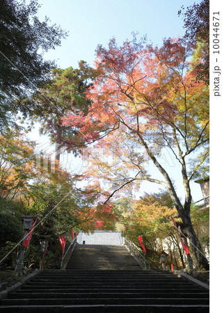 嵐山　法輪寺参道 10044671