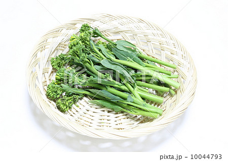 はなっこりー（山口県の新野菜） 10044793