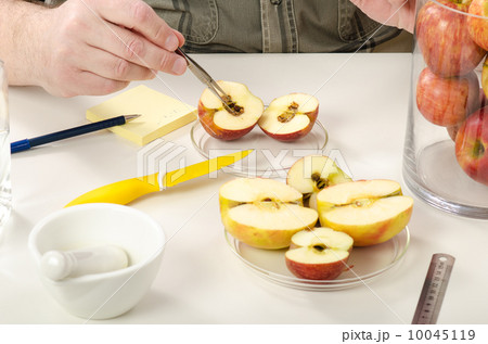 Detection of rot inside apple Detection of rot inside apple 10045119