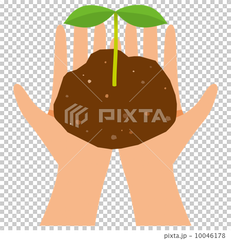 エコイメージ 10046178