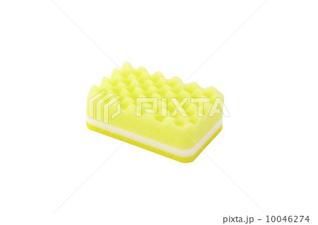 スポンジ スポンジ 10046274