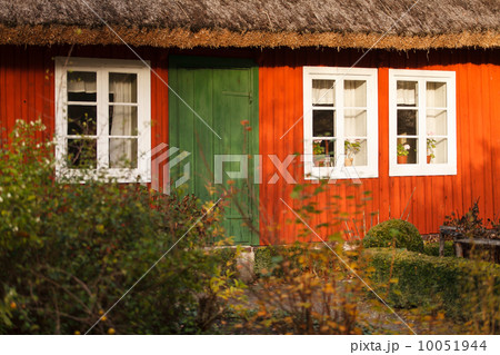 wood house 10051944
