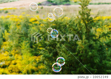 soap bubble outdoor soap bubble outdoor 10052149