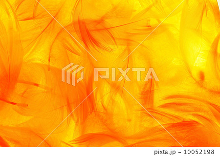 Color feathers Color feathers 10052198