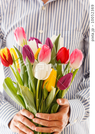 bouquet of tulips in a hand 10052369