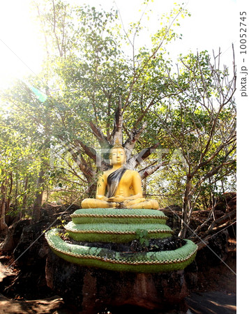 タイ　ウドンタニ　ワット・プラタートブアボック　仏像 10052745