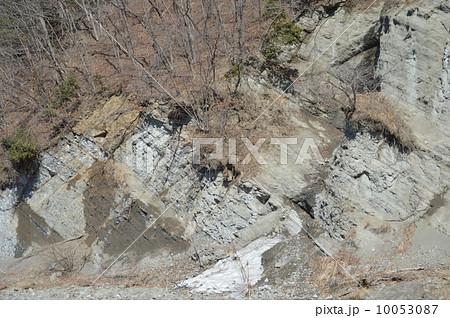 露出した地層(赤平川・左岸/埼玉県秩父郡小鹿野町) 露出した地層(赤平川・左岸/埼玉県秩父郡小鹿野町) 10053087