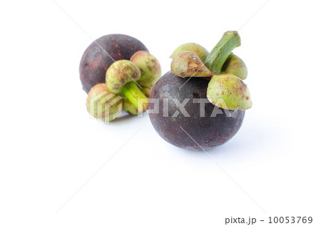 Mangosteens 10053769