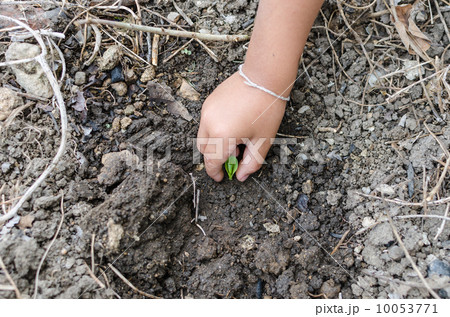 Protect the environment 10053771