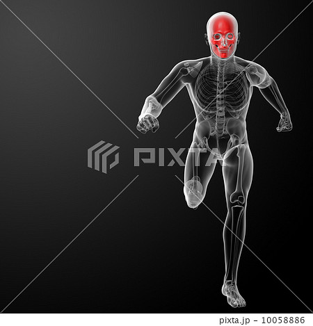 Human skull X ray in red - front view 10058886
