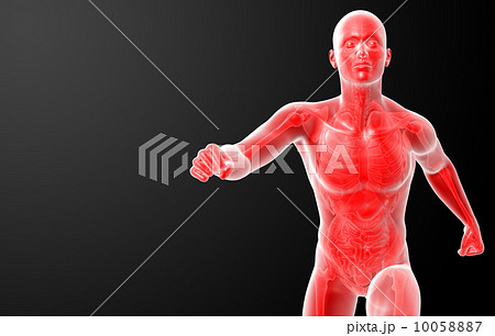 Running human anatomy by X-rays in red - front view 10058887