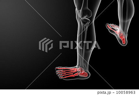 3d render x-ray of foot - top view 10058963