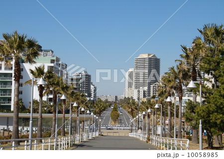 浦安市総合公園 浦安市総合公園 10058985