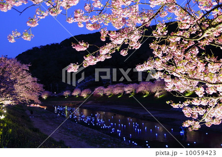 夜桜流れ星 10059423