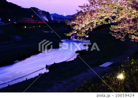 夜桜流れ星 10059424