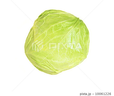 cabbage 10061226