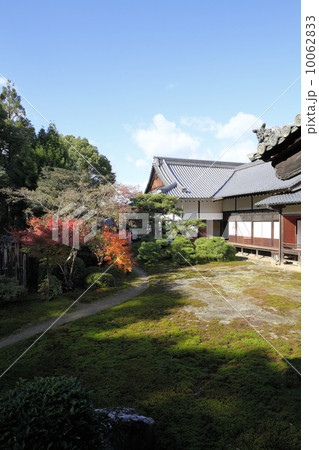 隨心院 隨心院 10062833