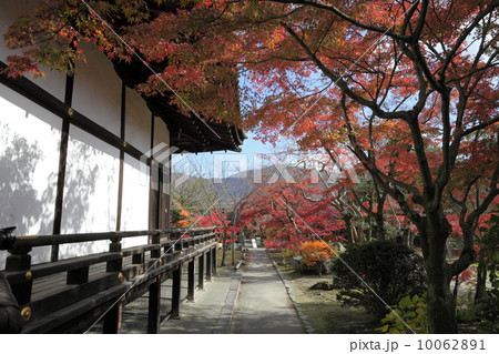 勧修寺の秋 勧修寺の秋 10062891