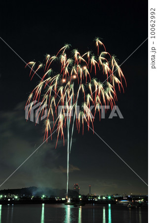 花火 花火 10062992