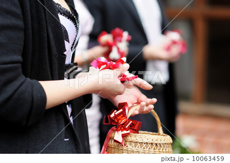 Hands of a woman full of rose petals Hands of a woman full of rose petals 10063459