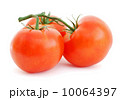 Tomatoes 10064397