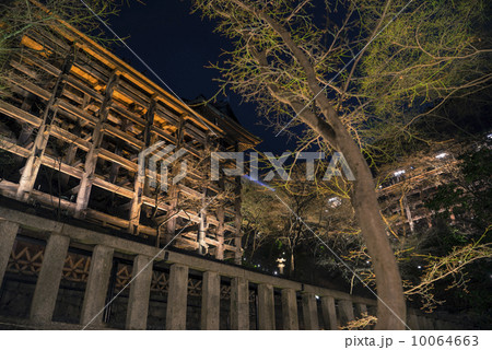 ライトアップされた清水寺 10064663