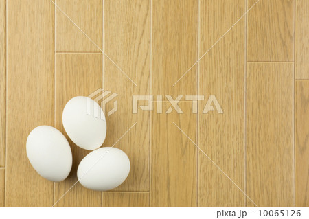 フロアと卵 10065126