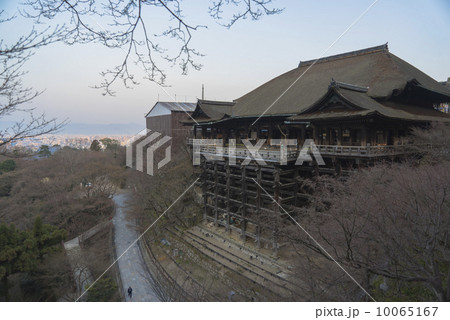 早朝の清水寺 早朝の清水寺 10065167
