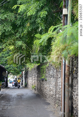 インドネシア　パリ島街並み 10065507