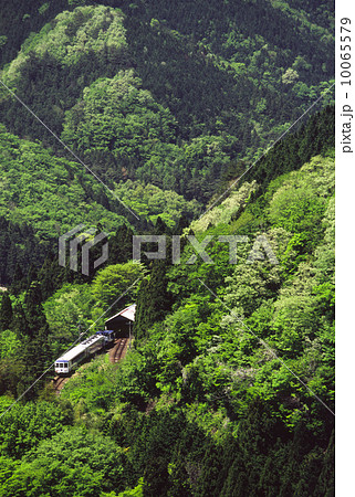 木次線 新緑の出雲坂根のスイッチバックを行くトロッコ列車 奥出雲おろち号 の写真素材