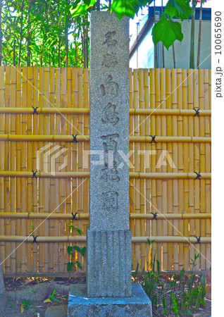 向島百花園(東京都墨田区東向島) 向島百花園(東京都墨田区東向島) 10065690