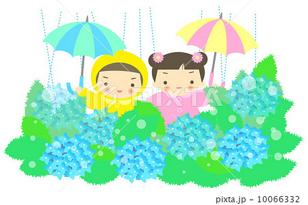 あじさい 10066332