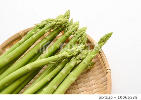 アスパラガス 10066538