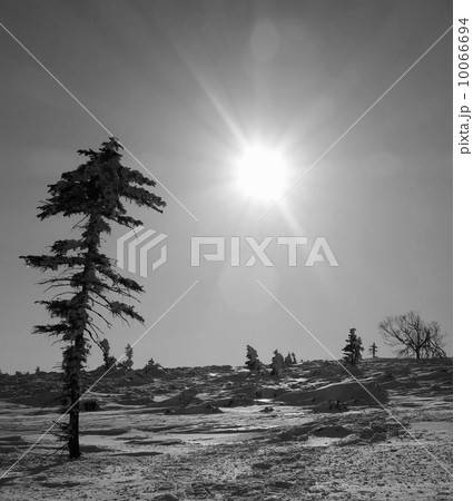 光と生命 光と生命 10066694