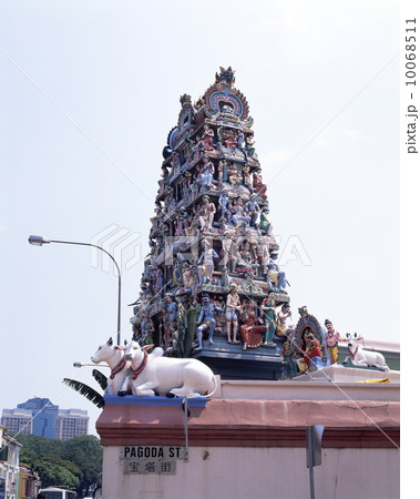 スリ・マリアマン寺院 スリ・マリアマン寺院 10068511