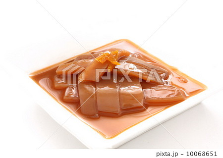 イカの塩辛　和食　珍味　白背景 10068651