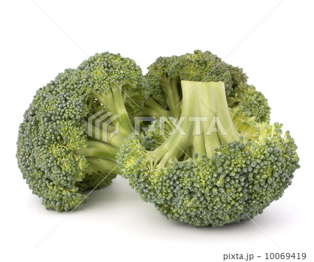 Broccoli vegetable 10069419