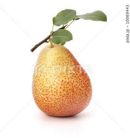 Pear 10069443
