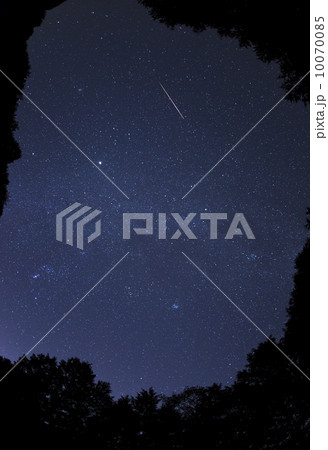 満天の星を駆け抜ける流星 10070085