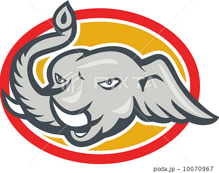 Elephant Head Cartoon 10070967