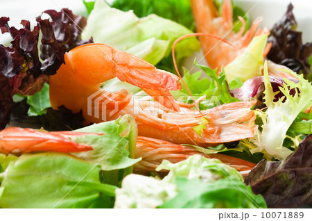 Shrimp Salad 10071889