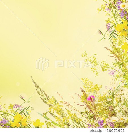 Holiday background 10071991