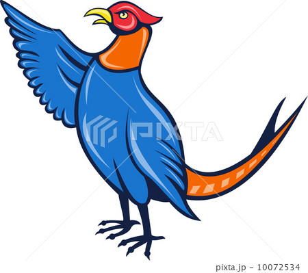 cartoon pheasant bird pointing up with wing 10072534