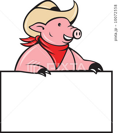 Cowboy pig hog holding blank sign Cowboy pig hog holding blank sign 10072558