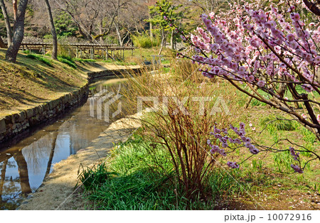 小石川後楽園・神田上水跡 10072916