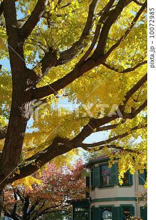 秋のブラフ18番館 秋のブラフ18番館 10072985