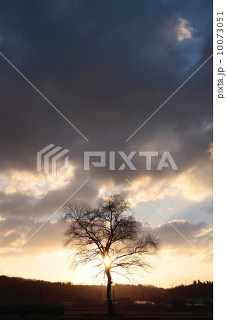 朝日と共に 朝日と共に 10073051