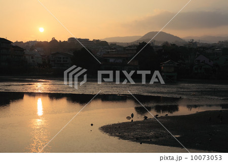 夕暮れの弁天池 10073053