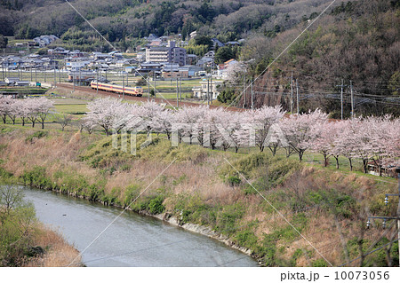 桜色と国鉄色 10073056